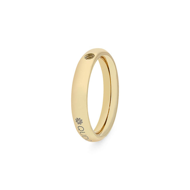 Slim Gold Interchangeable Ring, Size 56
