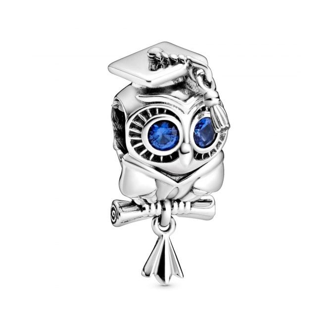 Wise Owl Graduation Charms