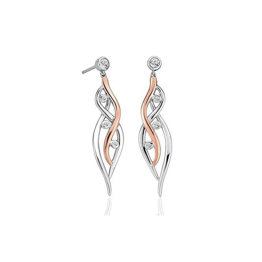 Swallow Falls Silver Drop Earrings