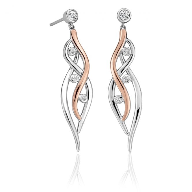 Swallow Falls Silver Drop Earrings