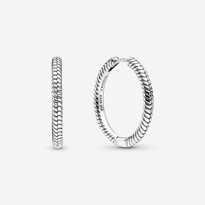 Moments Charm Hoop Earrings