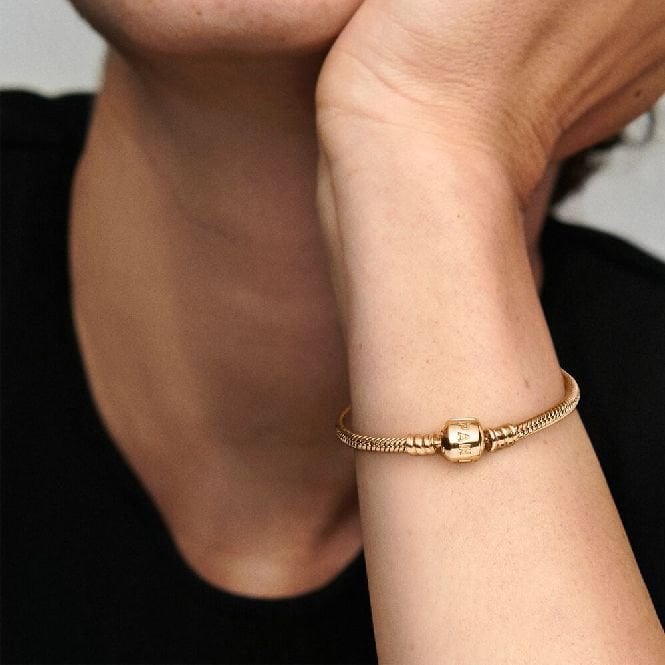 Moments 14kt Gold Snake Chain Bracelet, 19cm