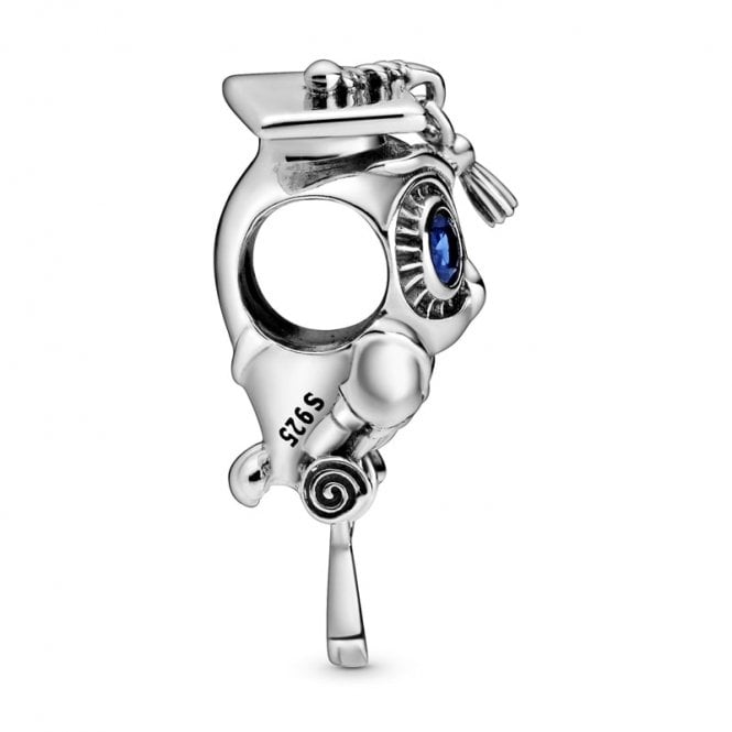 Wise Owl Graduation Charms