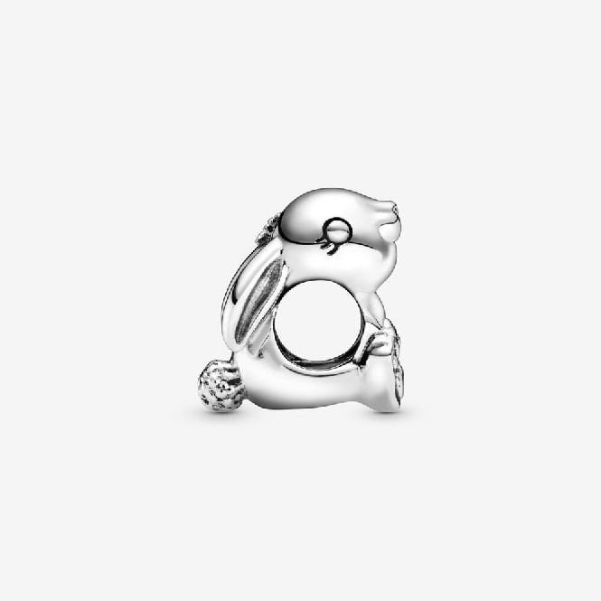 Daisy the Rabbit Charms