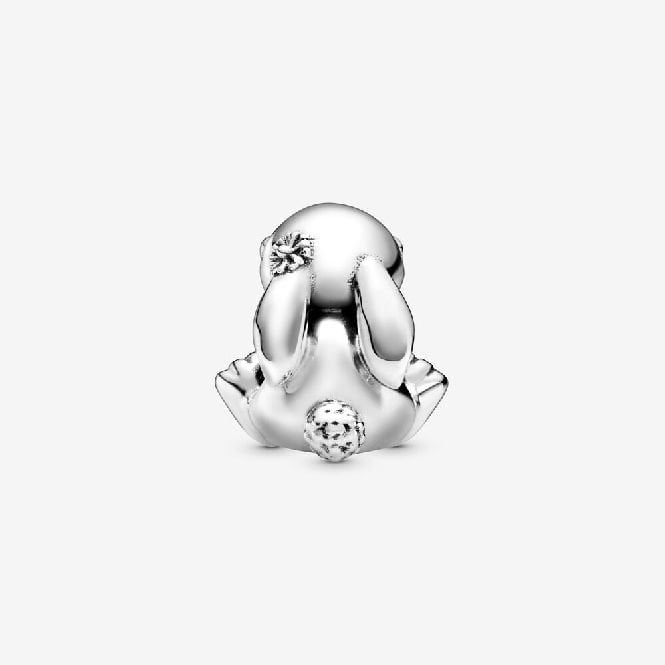 Daisy the Rabbit Charms