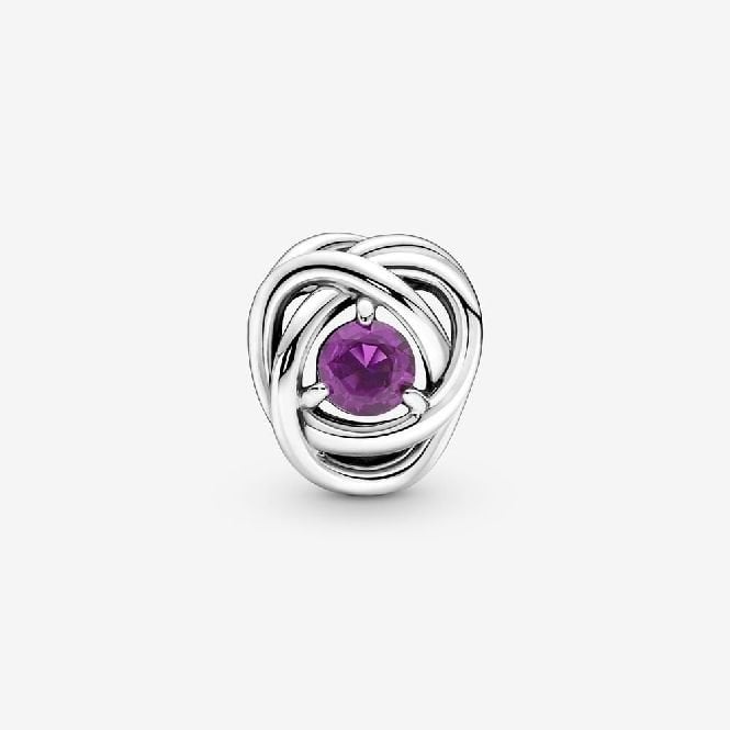 February Birthstone Eternity Circle Charms