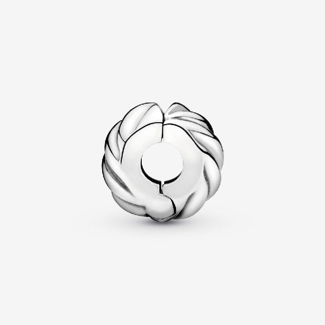 Polished Feathered Clip Charms