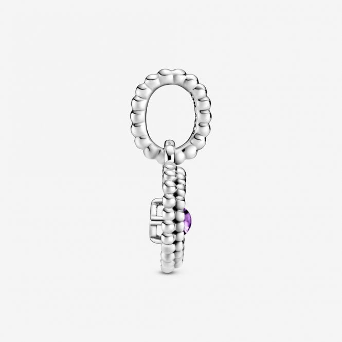 February Birthstone Heart Dangle Charms