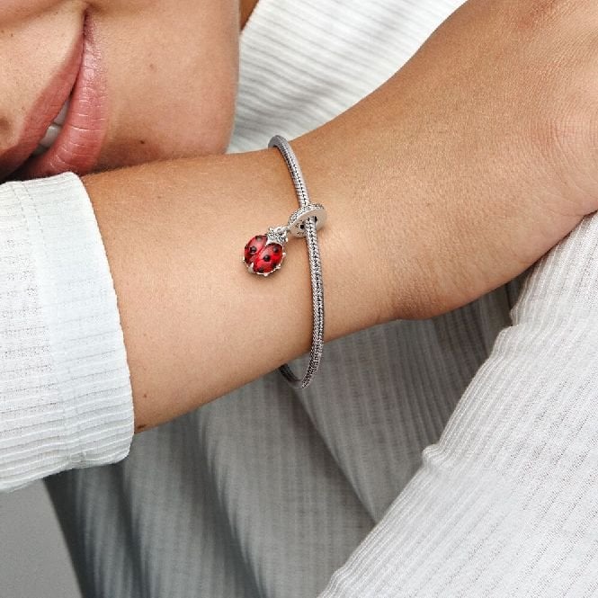 Red Ladybird Dangle Charms