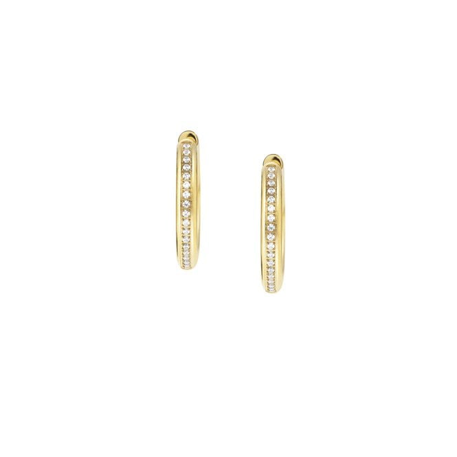 Unconditionally Gold Steel & CZ Huggie Hoop Earrings