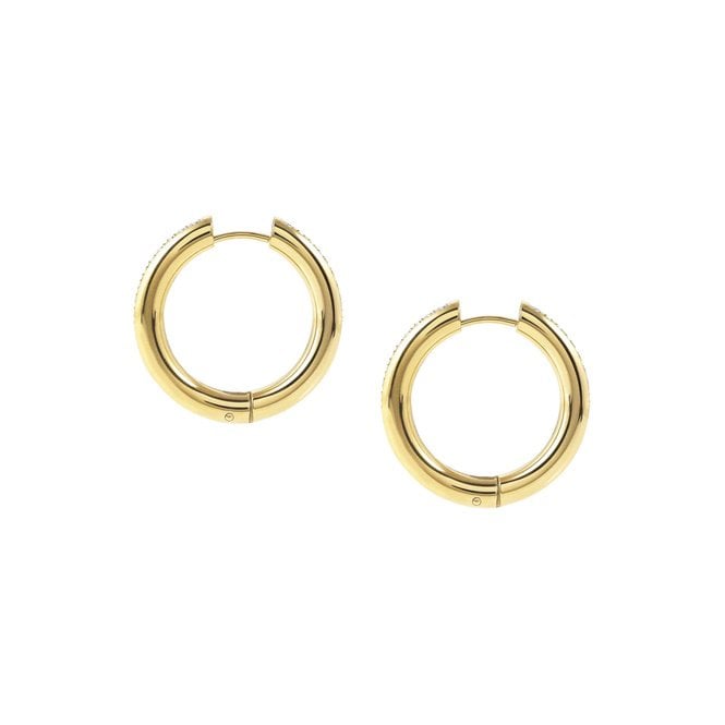 Unconditionally Gold Steel & CZ Huggie Hoop Earrings