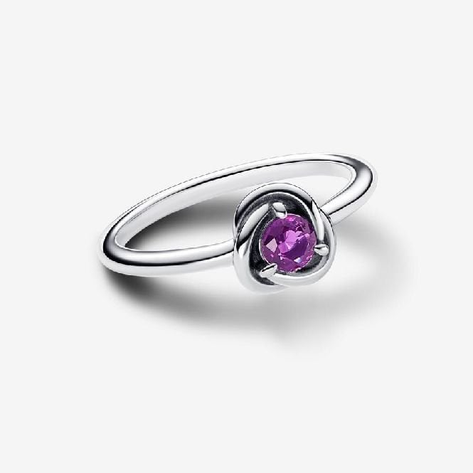 February Birthstone Eternity Circle Ring, Size 52