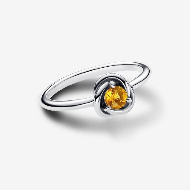 November Birthstone Eternity Circle Ring, Size 50