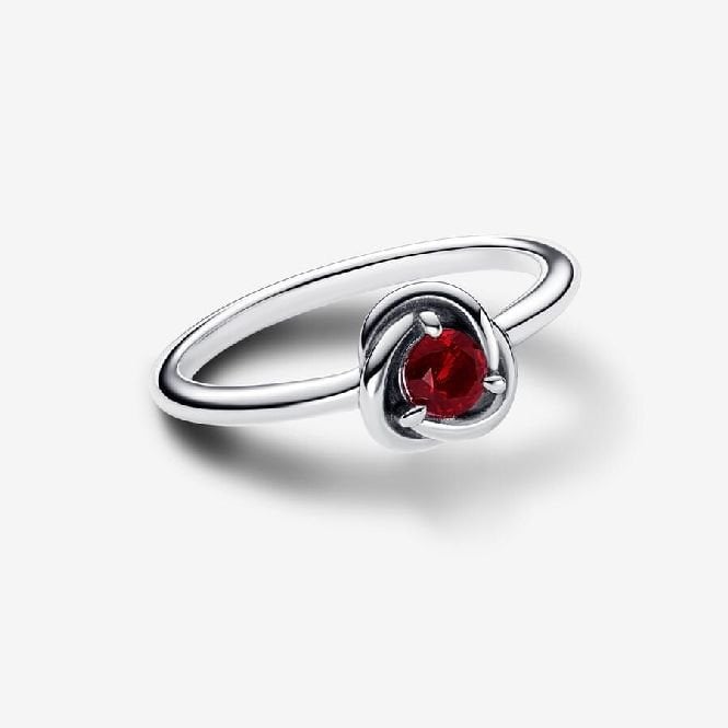 January Birthstone Eternity Circle Ring, Size 50