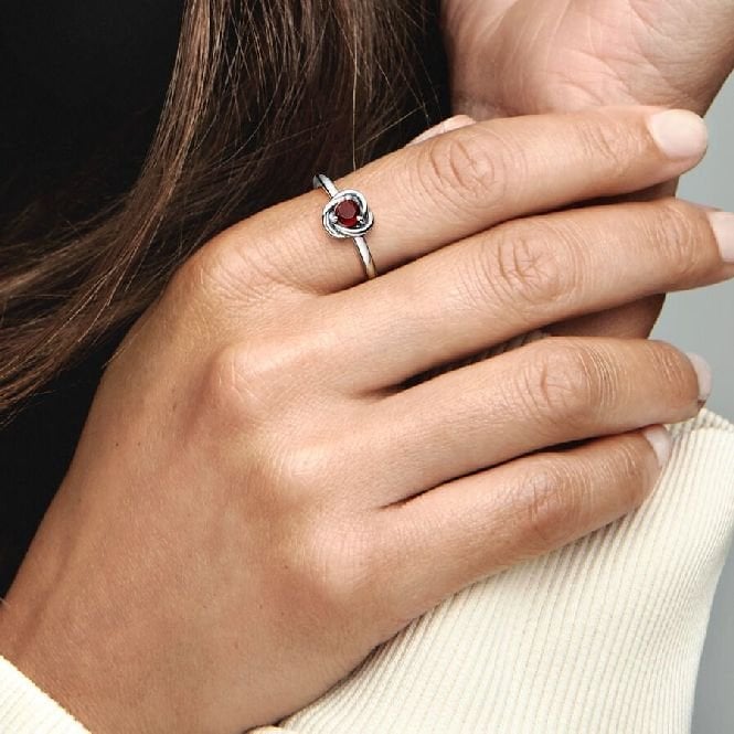 January Birthstone Eternity Circle Ring, Size 50