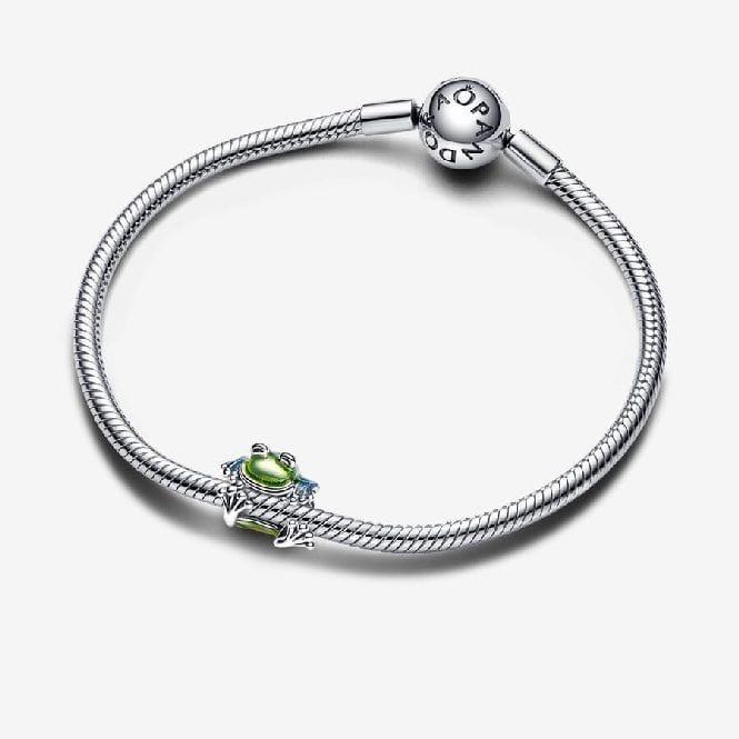 Climbing Frog Charms