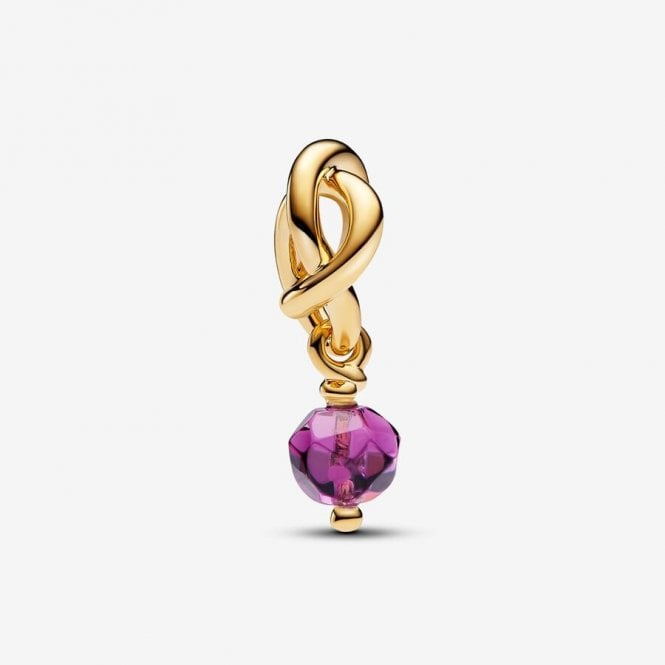 Gold February Birthstone Eternity Circle Dangle Charms