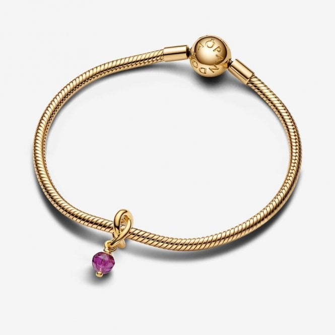 Gold February Birthstone Eternity Circle Dangle Charms