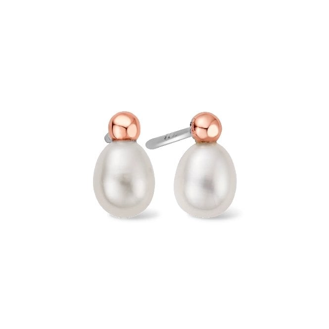 Nature's Wonder Silver Beachcomber Stud Earrings
