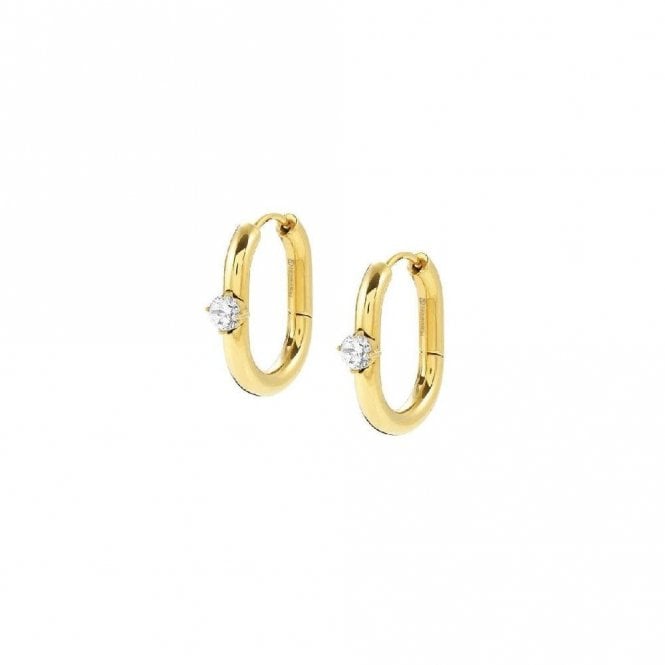 Chains Of Style Hoop Earrings in Gold Steel and CZ