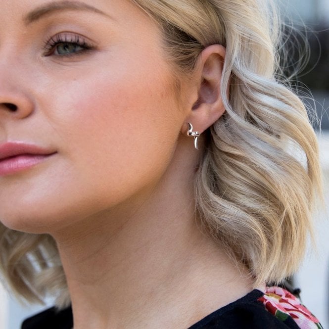 Silver Sensual Earrings