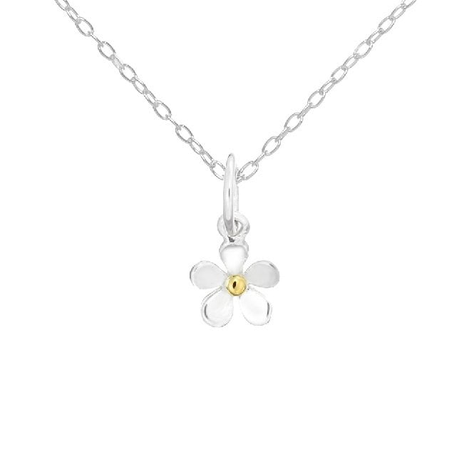 Thank You Daisy Necklace in Sterling Silver