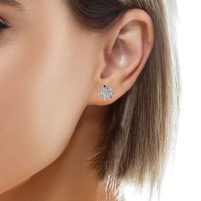 Silver Small Daisy Stud Earrings