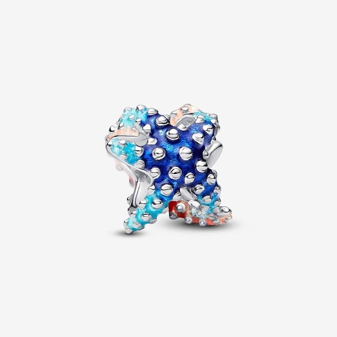 Colourful Starfish Mini Charms