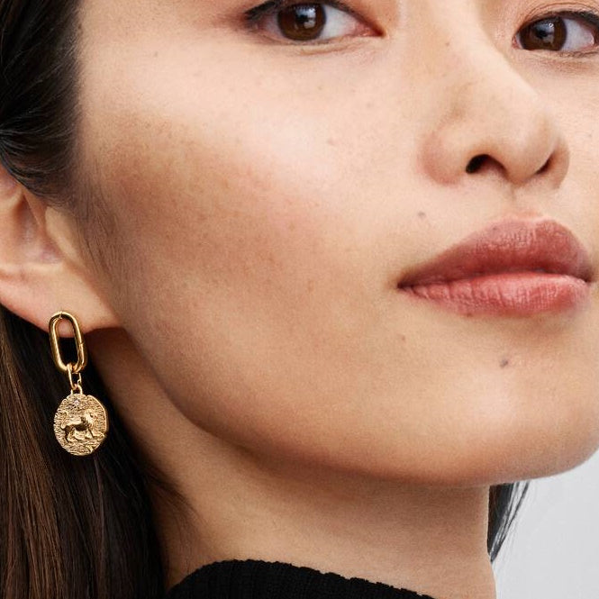 ME Gold Lion Medallion Charms