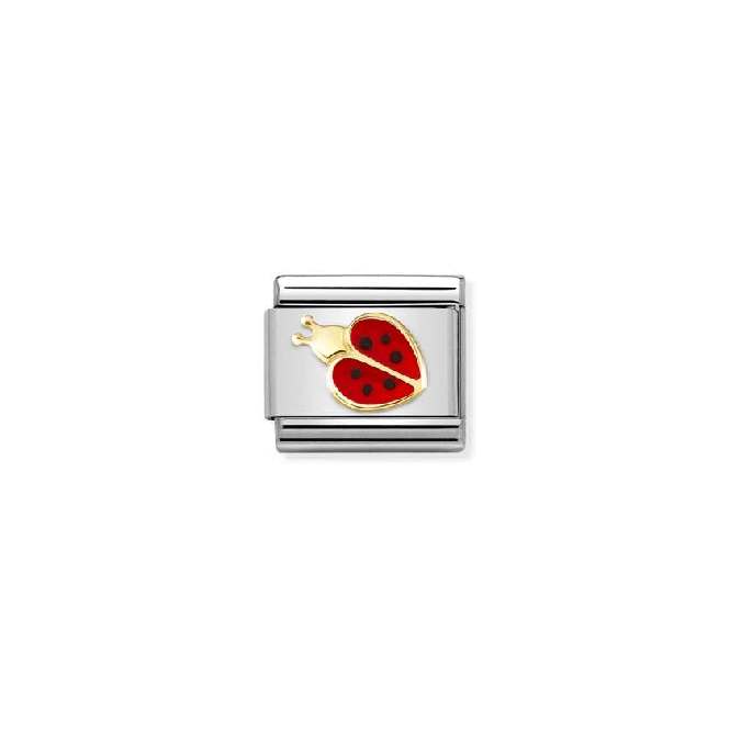 Classic Gold New Red and Black Ladybird Animals Charms