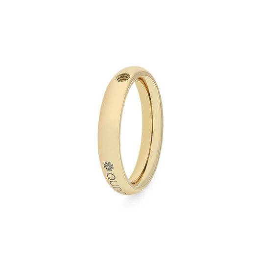 Slim Gold Interchangeable Ring, Size 60