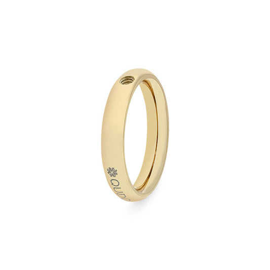Slim Gold Interchangeable Ring, Size 56