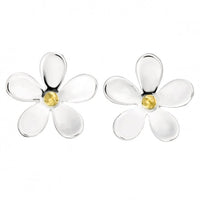Silver & Gold 15mm Daisy Stud Earrings