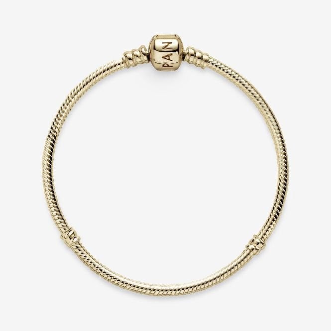 Moments 14kt Gold Snake Chain Bracelet, 19cm