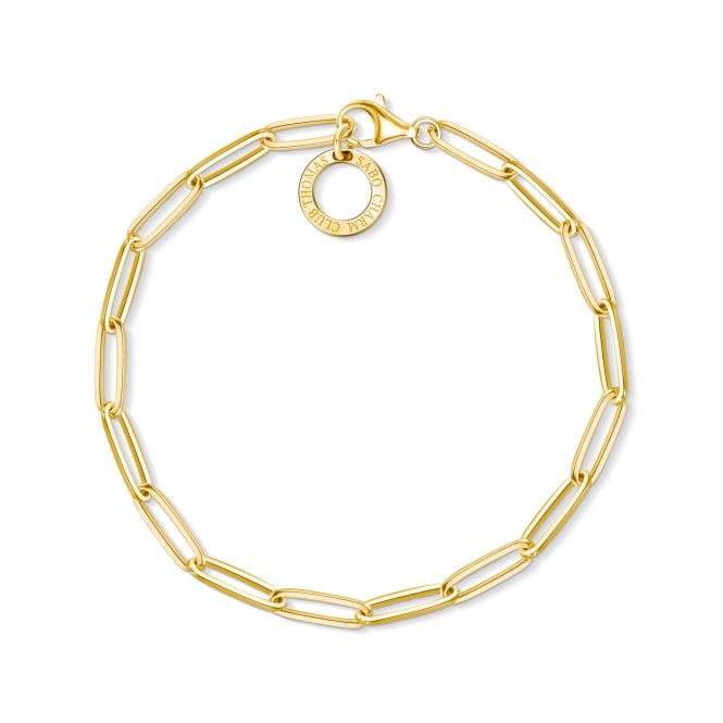 Classic Long Link Charm Bracelet with Gold, 15.5cm