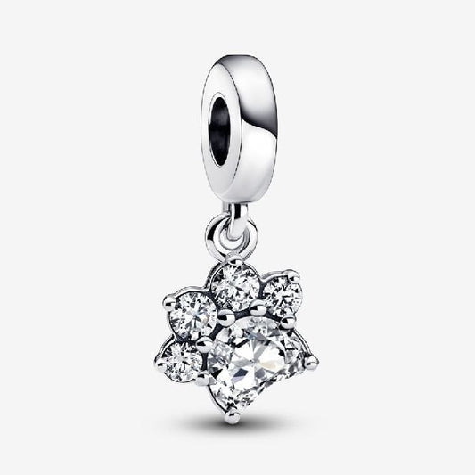 Sparkling Pet Paw Print Dangle Charms
