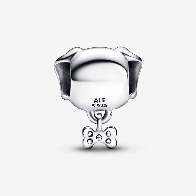 Pet Dog & Bone Charms