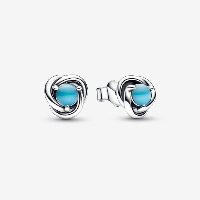 December Birthstone Eternity Circle Stud Earrings