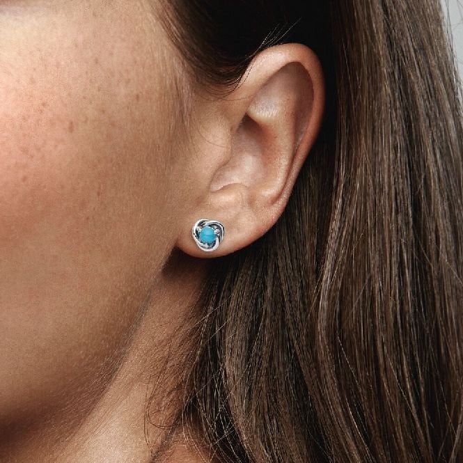 December Birthstone Eternity Circle Stud Earrings