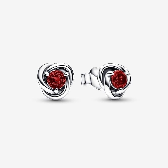 January Birthstone Eternity Circle Stud Earrings