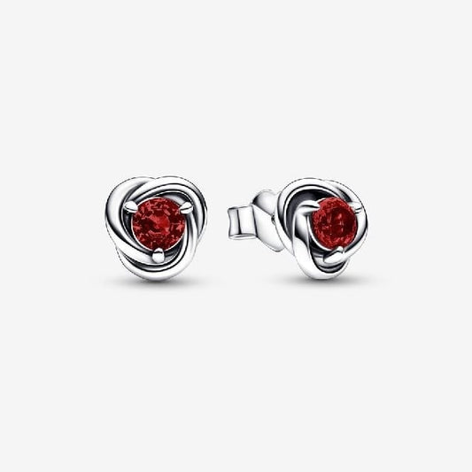 January Birthstone Eternity Circle Stud Earrings