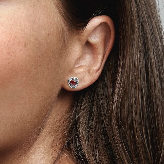 January Birthstone Eternity Circle Stud Earrings