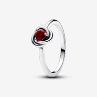 January Birthstone Eternity Circle Ring, Size 58