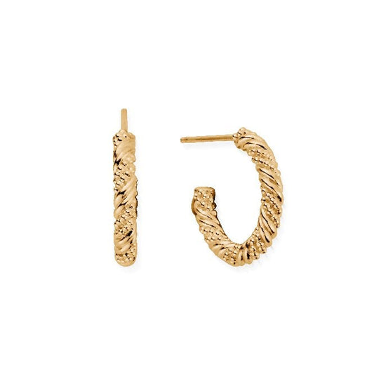 Gold Entwined Passion Hoop Earrings