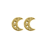 Gold Starry Moon Stud Earrings