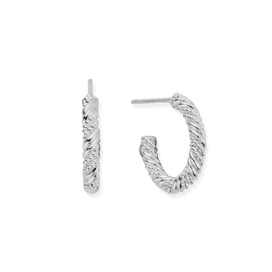 Entwined Passion Hoop Earrings
