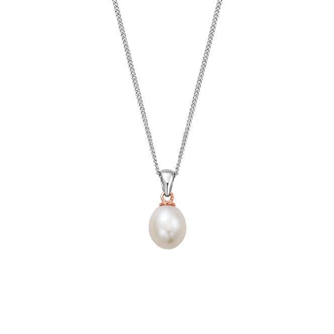 Nature's Wonder Silver Beachcomber Pendant