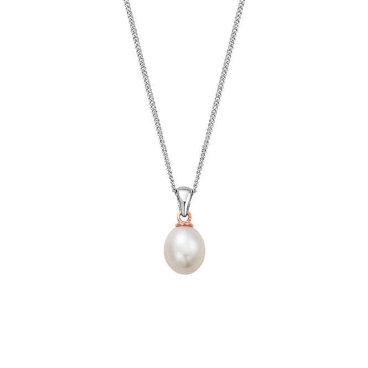 Nature's Wonder Silver Beachcomber Pendant