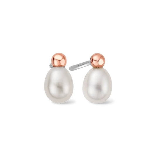Nature's Wonder Silver Beachcomber Stud Earrings