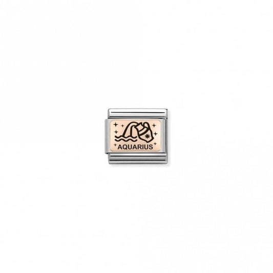 Classic Rose Gold Star-Sign Aquarius Zodiac Charms